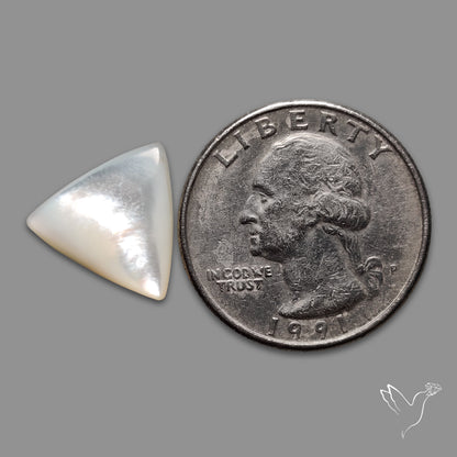 Mother Of Pearl Cabochon