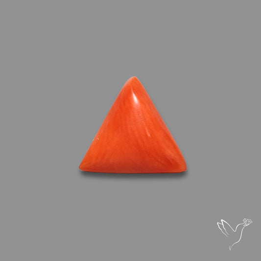 Italian Red Coral