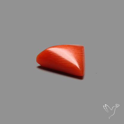 Italian Red Coral
