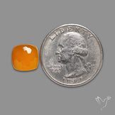 Honeycomb Cut Yellow Chalcedony