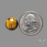 Tiger Eye Cabochon