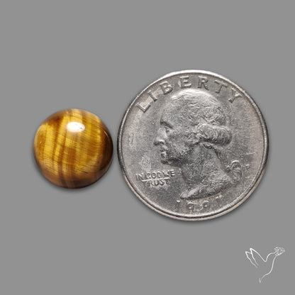 Tiger Eye Cabochon