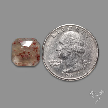 Garnet in Quartz Rose Cut