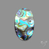 Abalone Shell