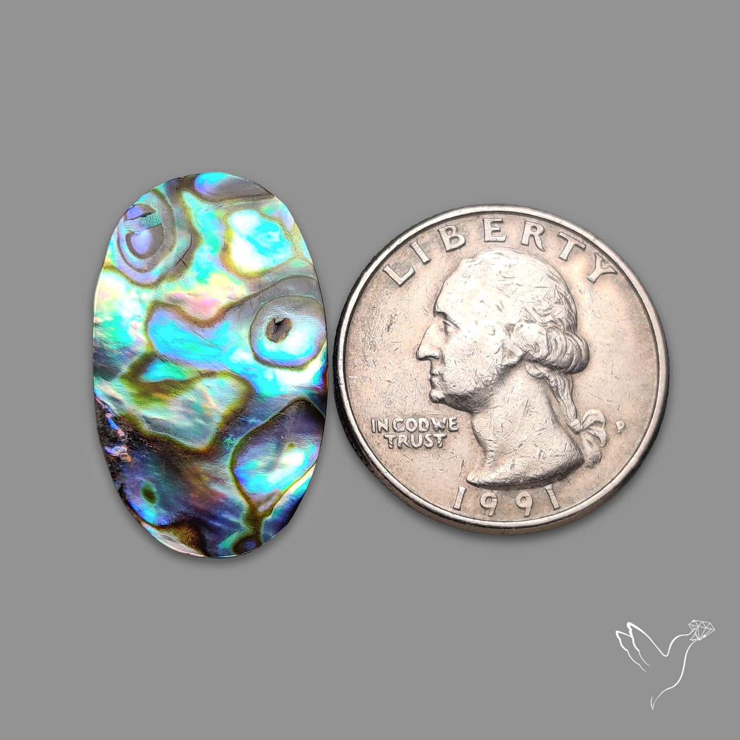 Abalone Shell