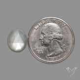 Rose Cut White Moonstone