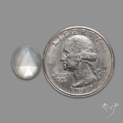 Rose Cut White Moonstone