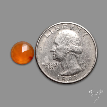 Rose Cut Carnelian Agate