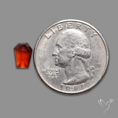 Step Cut Hessonite Garnet