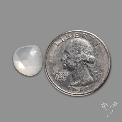 Rose Cut White Moonstone