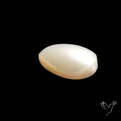 Freshwater Pearl Cabochon