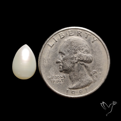 Freshwater Pearl Cabochon