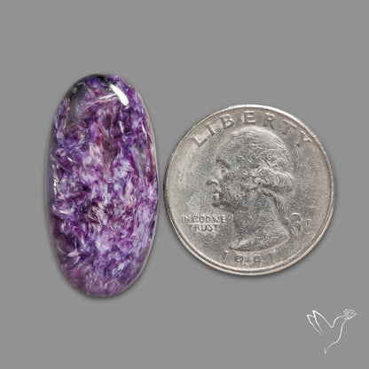 Charoite Cabochon