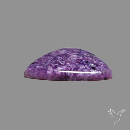 Charoite Cabochon