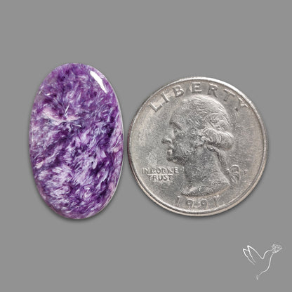 Charoite Cabochon