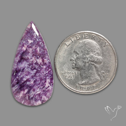 Charoite Cabochon