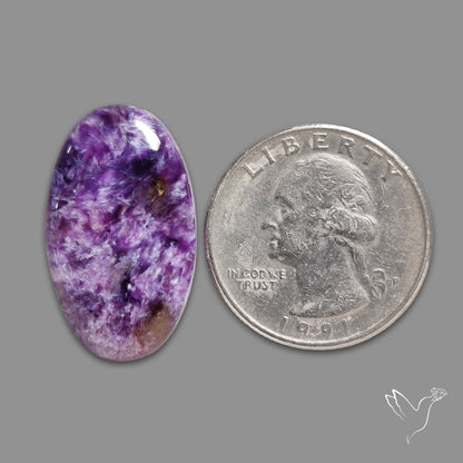 Charoite Cabochon