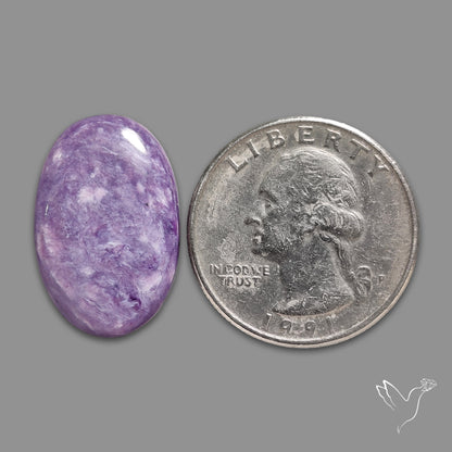 Charoite Cabochon