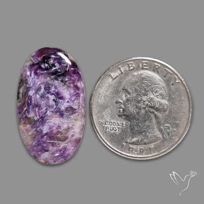 Charoite Cabochon