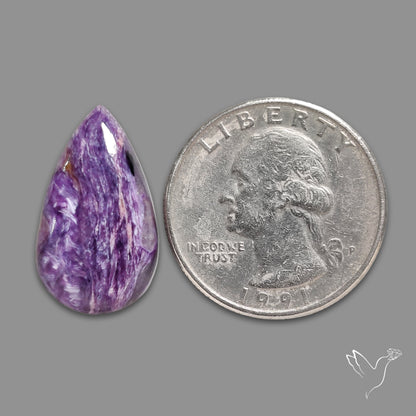 Charoite Cabochon