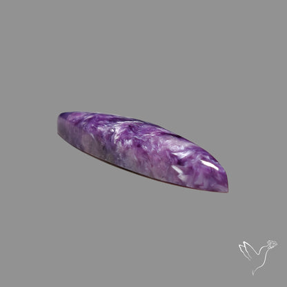 Charoite Cabochon