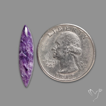 Charoite Cabochon