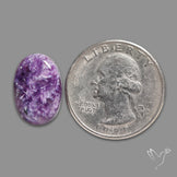 Charoite Cabochon