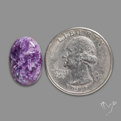 Charoite Cabochon
