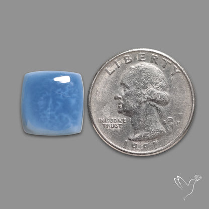 Owyhee Blue Opal Cabochon