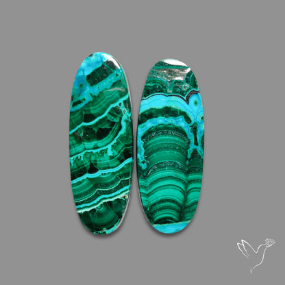 Chrysocolla In Malachite Pair