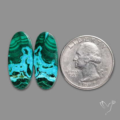 Chrysocolla In Malachite Pair