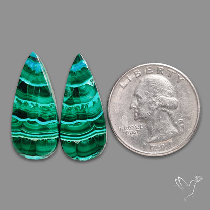 Chrysocolla In Malachite Pair