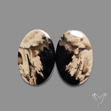 Indonesian Palmroot Agate Pair