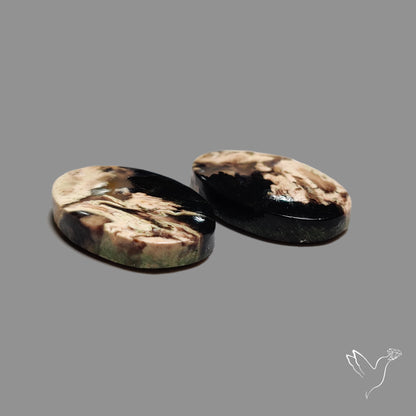 Indonesian Palmroot Agate Pair