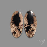 Indonesian Palmroot Agate Pair