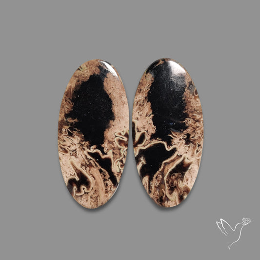Indonesian Palmroot Agate Pair