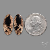 Indonesian Palmroot Agate Pair