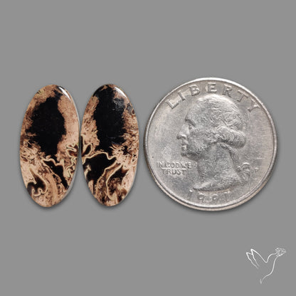 Indonesian Palmroot Agate Pair