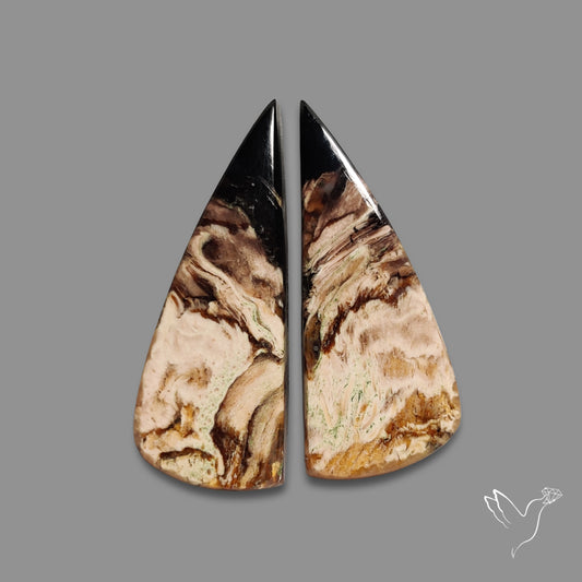 Indonesian Palmroot Agate Pair