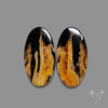Indonesian Palmroot Agate Pair