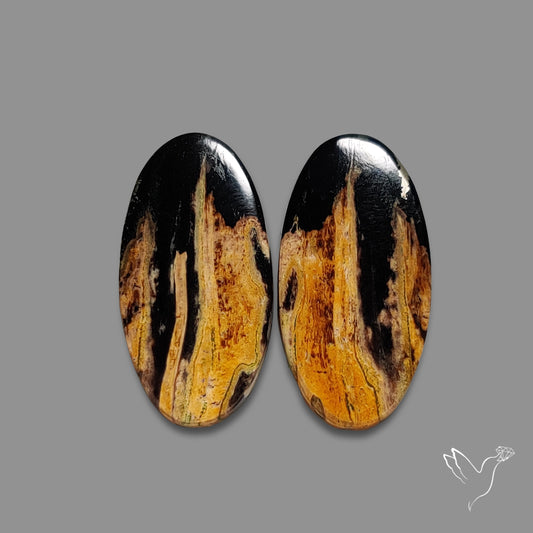 Indonesian Palmroot Agate Pair