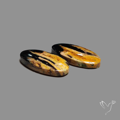 Indonesian Palmroot Agate Pair