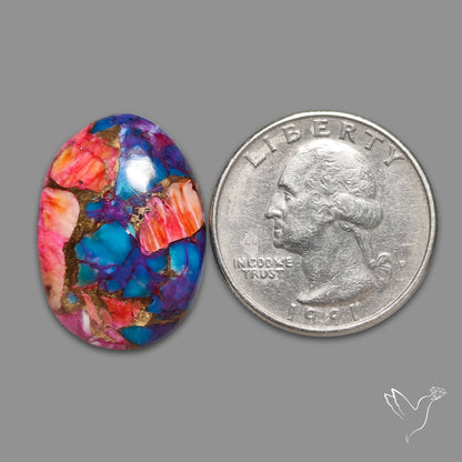 Spiny Oyster Mohave Turquoise Cabochon