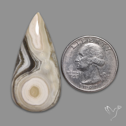 Ocean Jasper Cabochon