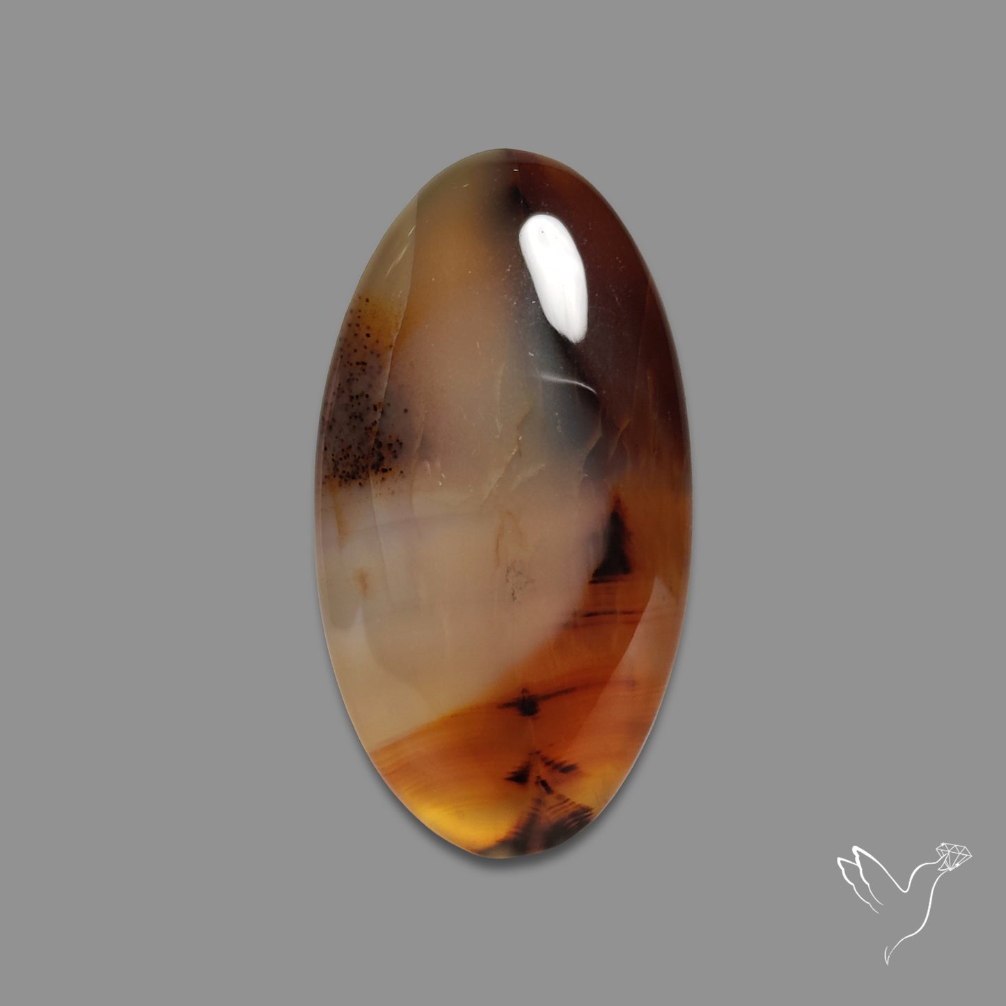 Montana Agate Cabochon