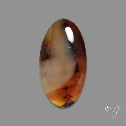 Montana Agate Cabochon