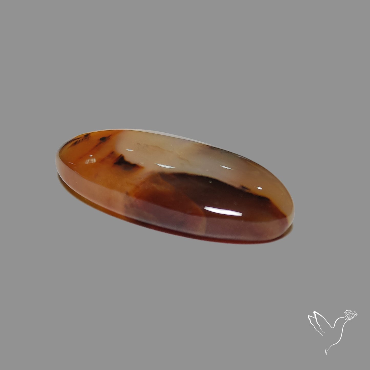 Montana Agate Cabochon