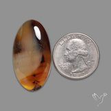 Montana Agate Cabochon