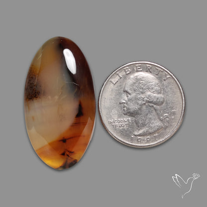 Montana Agate Cabochon