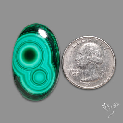 Malachite Cabochon